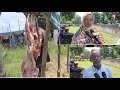 WAFANYA BIASHARA WA NYAMA YA MBUZI IPULI TABORA WAULILIA UONGOZI BAADA YA KUHAMISHIWA ENEO JIPYA WAFANYA BIASHARA WA NYAMA YA MBUZI IPULI TABORA WAULILIA UONGOZI BAADA YA KUHAMISHIWA ENEO JIPYA