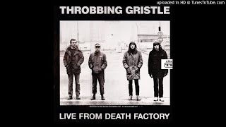 Throbbing Gristle ‎– See You Are [ᴅᴇᴀᴛʜ ꜰᴀᴄᴛᴏʀʏ &#39;79]