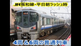 【4両編成＆6両編成の普通列車】JR阪和線・浅香駅にて【平日朝ラッシュ時】