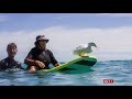 'Duck' surfs with his family in the Gold Coast (Fun story) (Australia) BBC News - 30th January 2021