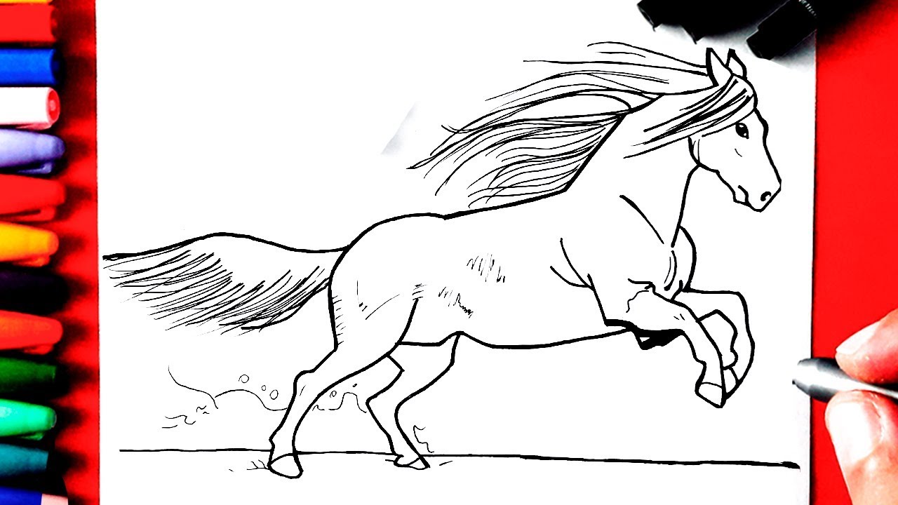 Desenhando um cavalo em 5 passos