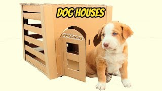 How to Make Amazing  Dog House With Cardboard