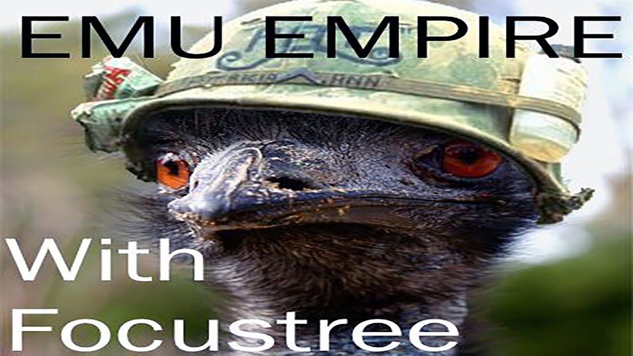 The Emo Emu Empire, the, emo, emu, empire, emu empire, emu invasion, ...