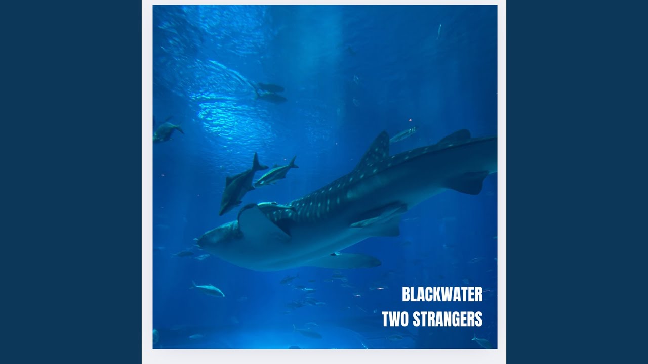 Watch Two Strangers on YouTube Watch Two Strangers on YouTube