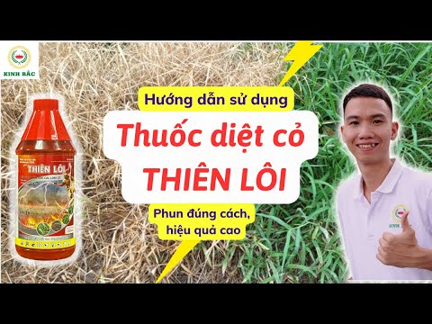 Instructions for using THIEN LOI HERBSIDE for high efficiency #caytrong #chiase #dietco #thienloi - youtube