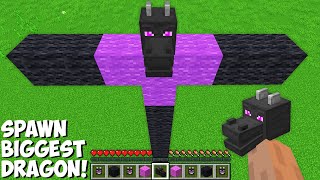 This is a SUPER SECRET WAY TO SPAWN BIGGEST DRAGON in Minecraft ! TITAN DRAGON !