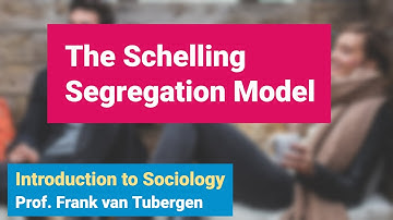 11.Online Appendix: The Schelling Segregation Model | Introduction to Sociology course - SOC 101