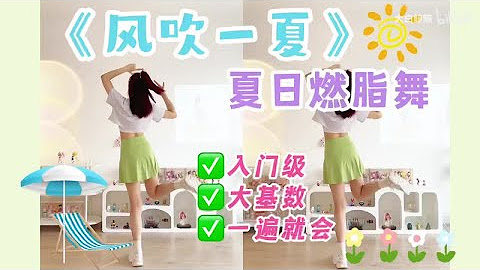 舞艺吧 飞机专用