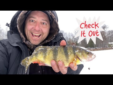 Ice Fishing: Polar pop up in action! 🎣👀 - YouTube