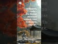 Мудрость Будды: Путь к Спокойствию и Осознанности / Избранные  Цитаты Способные Изменить Жизнь.