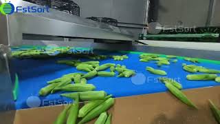 How We Automated Okra Washing, Weighing & Packing👇🏻