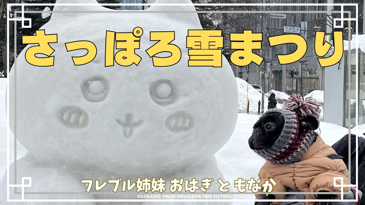 【北海道フレブル】さっぽろ雪まつり散歩⛄️｜【Hokkaido French Bulldog】We went to the Sapporo Snow Festival