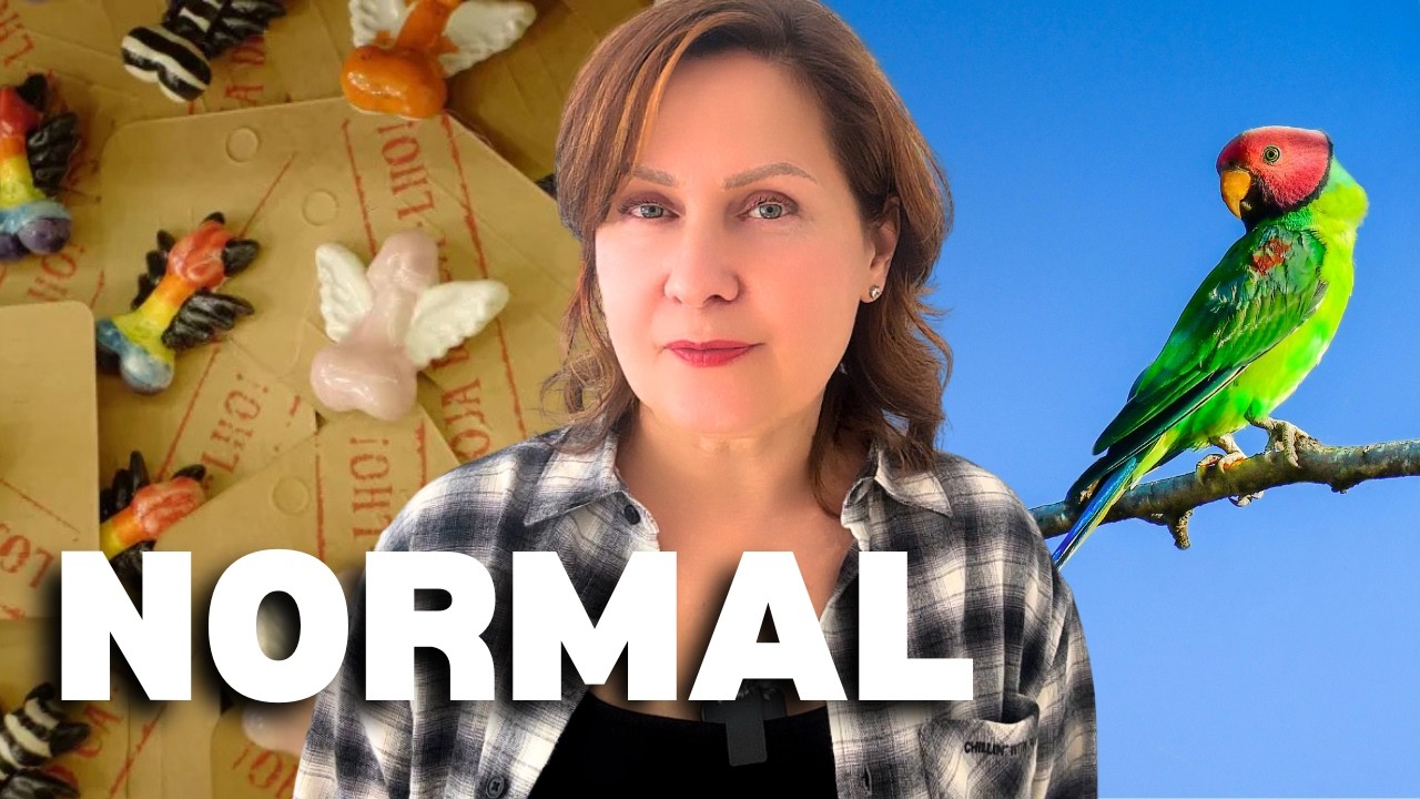 Normal in Portugal... Shocking to You! (Part 2)
