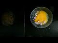 omelette... egg is good for health...#egg #shorts