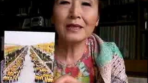 オススメしたい映画が2つ『西の魔女が死んだ』『Manufactured Landscapes』