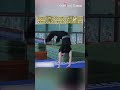 Young Wu Opera performer stuns with rapid backflips