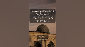 سورة الأنفال الآية ٢٤ و ٢٥ بصوت الشيخ محمد صديق المنشاوي