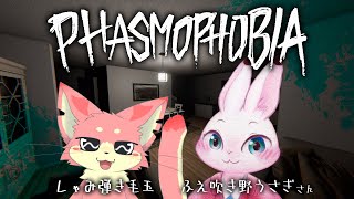 【ファズモフォビア】突発ぬこもフォビア！ with ふえりん＆烏丸さん　からのアルチキ！！【ケモVコラボ】