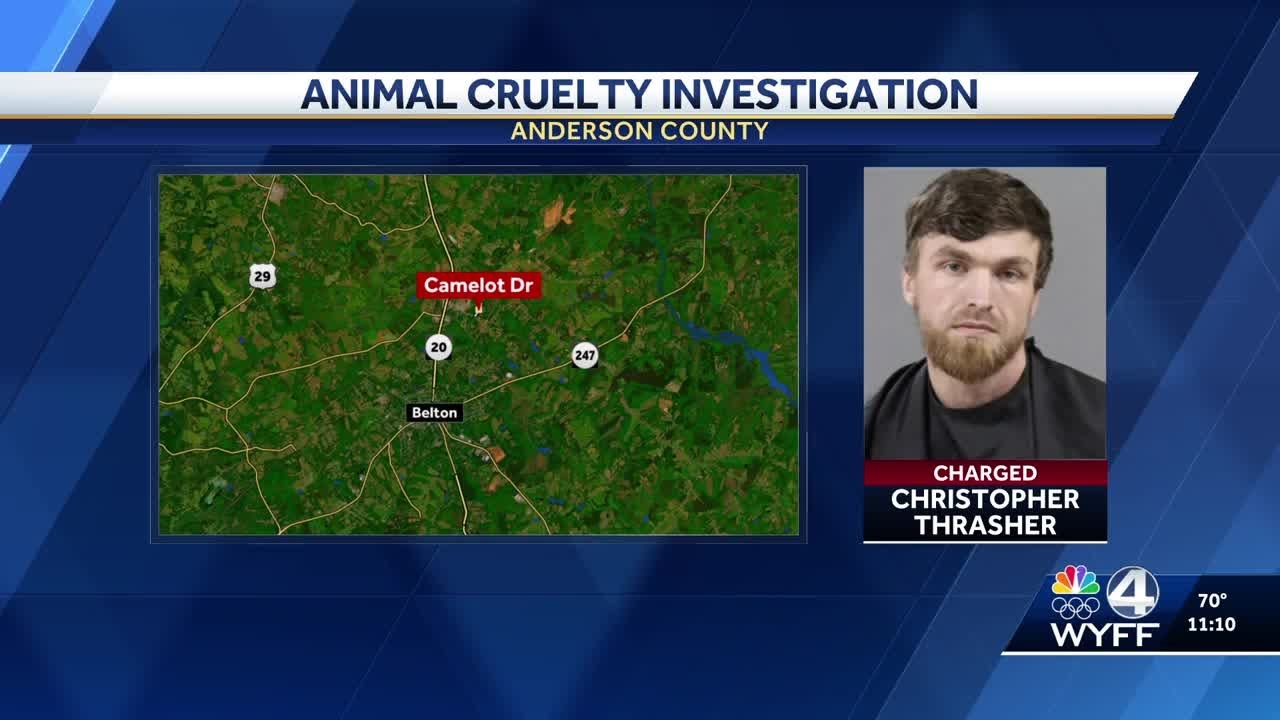 Belton man faces animal cruelty charges after tip leads to discovery of ...