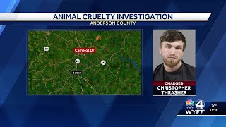 Belton man faces animal cruelty charges after tip leads to discovery of dead dogs, deputies say