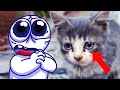Rabbert saves homeless cat Mp3 Song