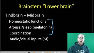 AP Bio: The Nervous System - Part 3