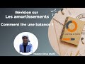 Rvision les amortissements comment lire une balance 