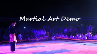 Atraksi PSHT vs Taekwondo vs Kapoera vs Wushu vs Karate