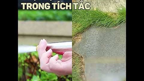 Vòi Xịt Tăng Áp Cực Mạnh