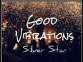 Phunk Foundation - Good Vibration Silver Star Remix (Audio)