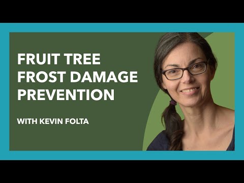 Preventing Frost Damage on Fruit Trees with Kevin Folta (EPS #90)