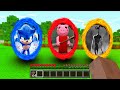 Minecraft : DO NOT CHOOSE THE WRONG PORTAL! (SONIC,PIGGY,SIRENHEAD) (PS4/XboxOne/PE/MCPE)