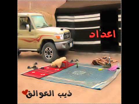شيلة مصيري مسرع