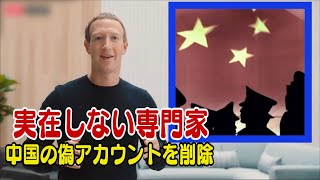 〈字幕版〉FacebookとTwitter 中国の偽アカウントを削除＝実在しないスイス人専門家