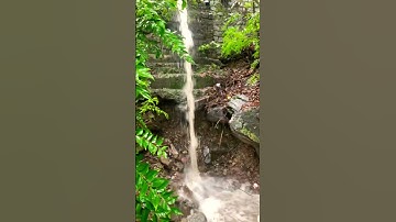 Thumbnail of Waterfall #dj #remix #song #newmusic #ytshorts #music #travel #watarfall #travel #rain