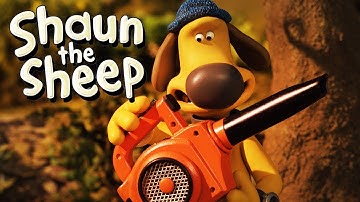 Prickly Problem | Shaun the Sheep Season 5 | Full Episode