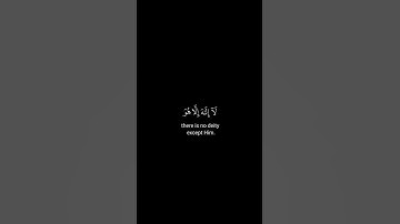 كروما شاشة سوداء قرآن كريم 🍀 محمد المنشاوي 🍀سورة القصص  #تلاوة_هادئة #اكسبلور #تلاوة_خاشعة
