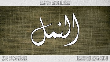 القرآن سورة النمل ورش القارئ سمير ابن العشية 027