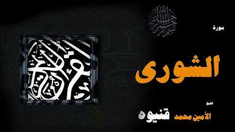 القران الكريم بصوت الشيخ الامين محمد قنيوة | سورة الشورىِ