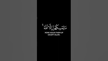 سورة النحل _ الاية 79 _ تلاوة رائعة _ ❤️📖🤲