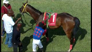 JAMAICA RACING: Green Gold Rush With Ease In Sat, May 16, 2026, 5th