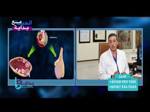 ما هو هرمون البرولاكتين او هرمون الحليب وما علاقته بتأخر الحمل