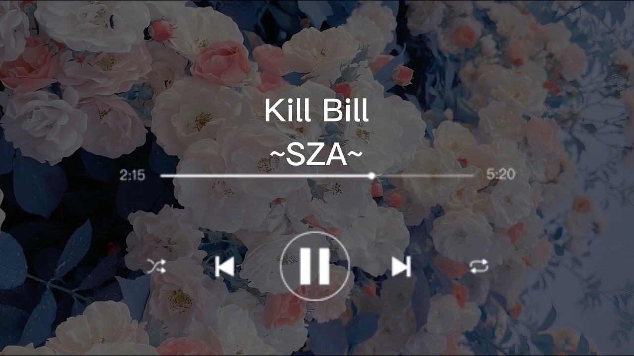 [1 hour] SZA - KILL BILL