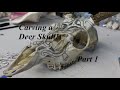 Carving a Design Into a Deer Skull!: Part 1