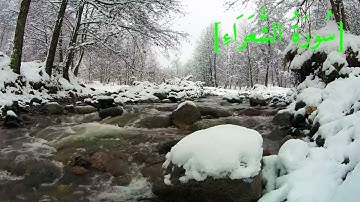 سُورَةُ الشُّعَرَاء بصوت الشيخ عبد الرحمن بن موسى رواية ورش عن نافع تجويد رائع