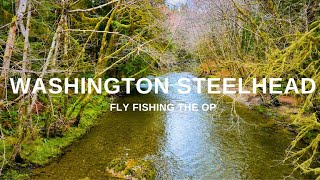 From Dreams to Reality (Fly Fishing for Steelhead)