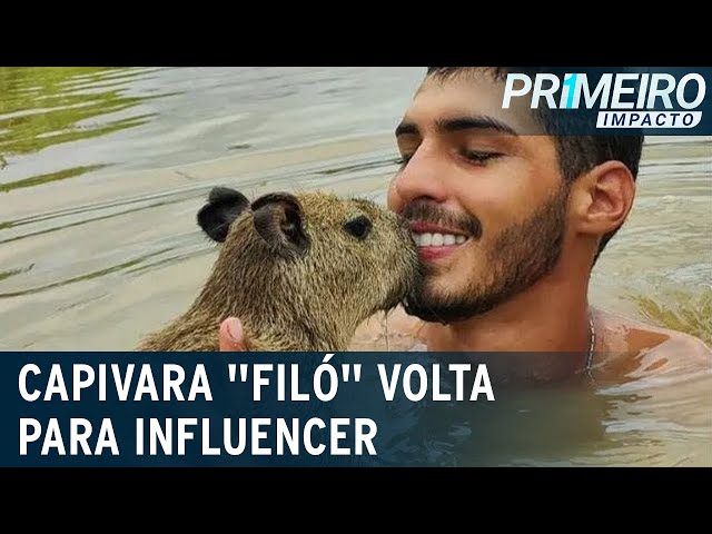 Justiça devolve capivara Filó a influencer do AM