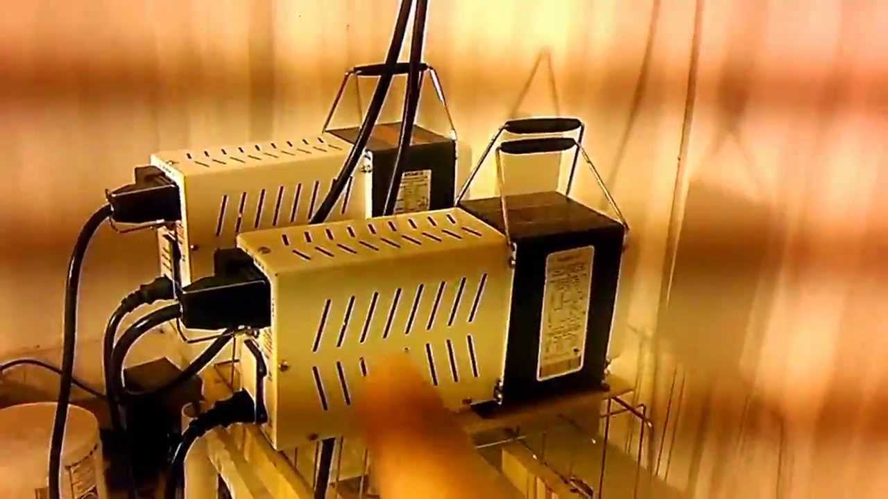 BigPoppa420: Visiting Jerry's Vertical Garden