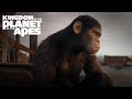 Kingdom of the Planet of the Apes | Bring Apes Home