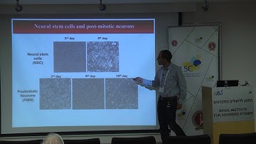 Brain Research at the Molecular and Cellular Level - Part 1